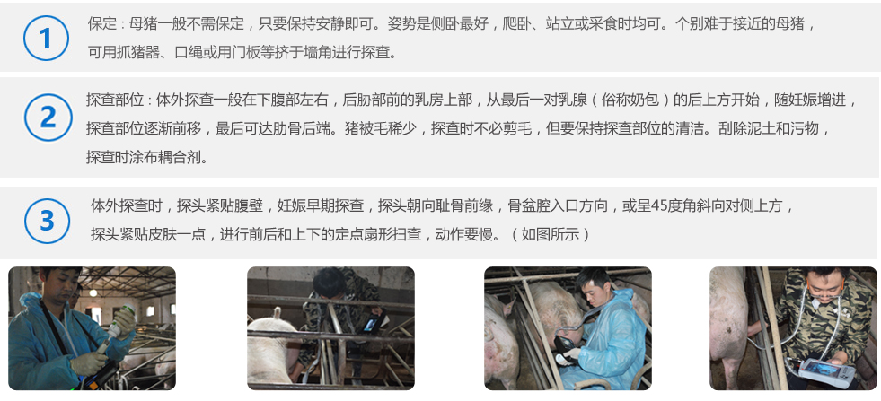   兽用B超BXL-M1的使用方法图解