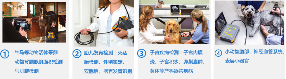 猪用B超机的功能