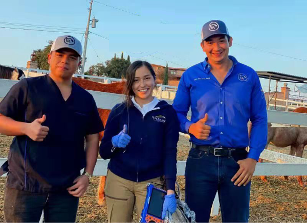 国外客户使用兽用B超机BXL-V50