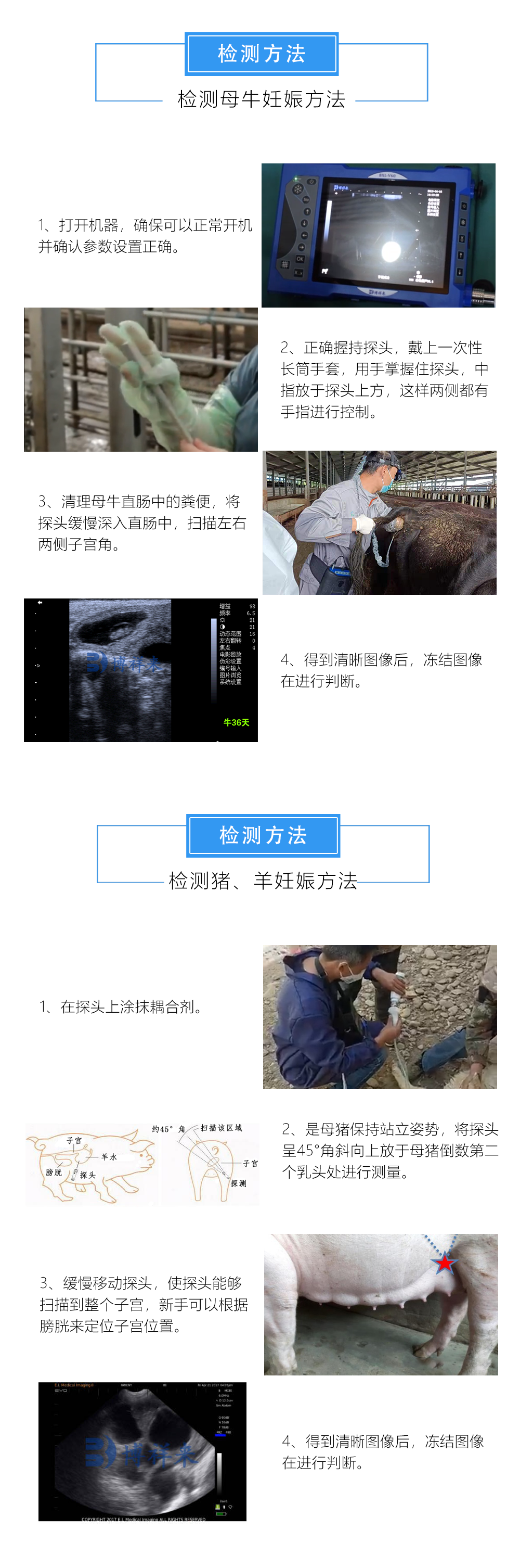 兽用B超机BXL-V60产品功能