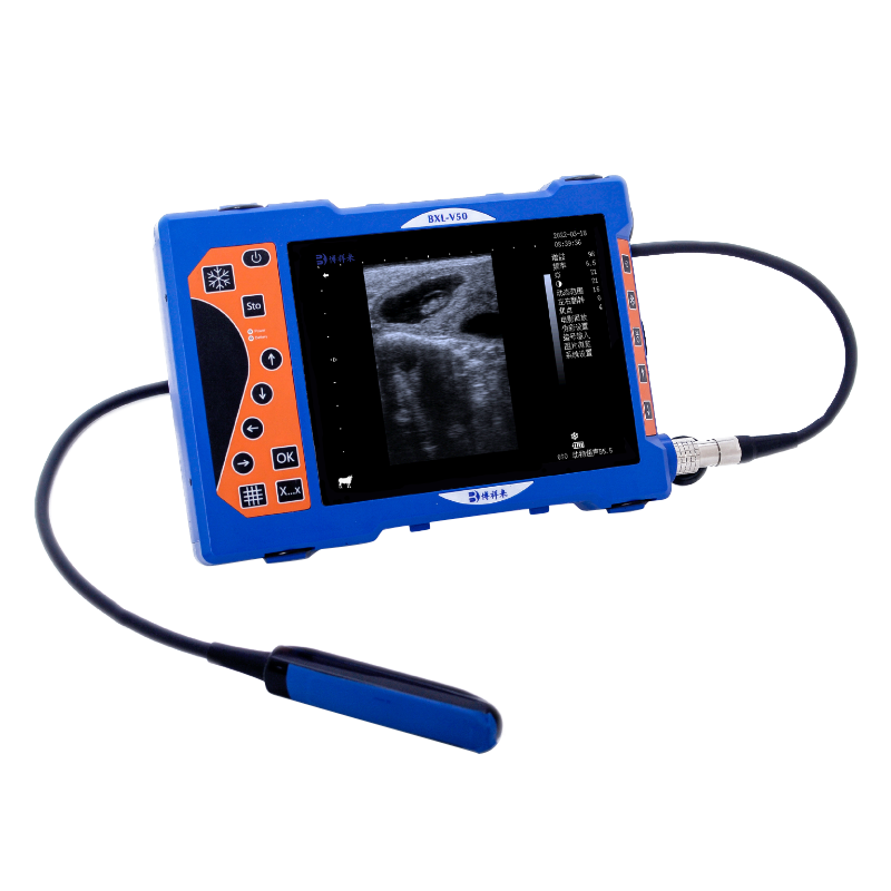 博祥来高清驴用B超机BXL-V50
