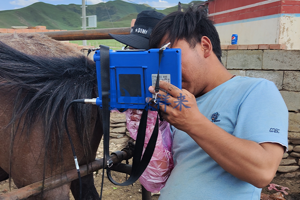 博祥来马用B超机多少钱
