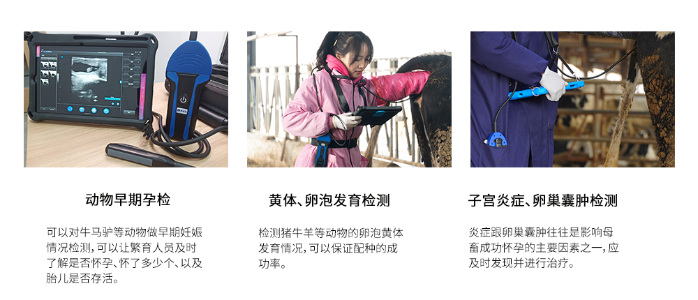 无线兽用B超机BXL-S100主要功能