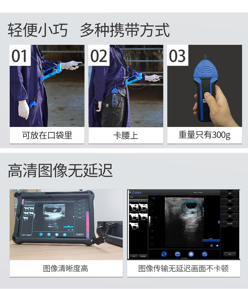 便携式无线兽用B超