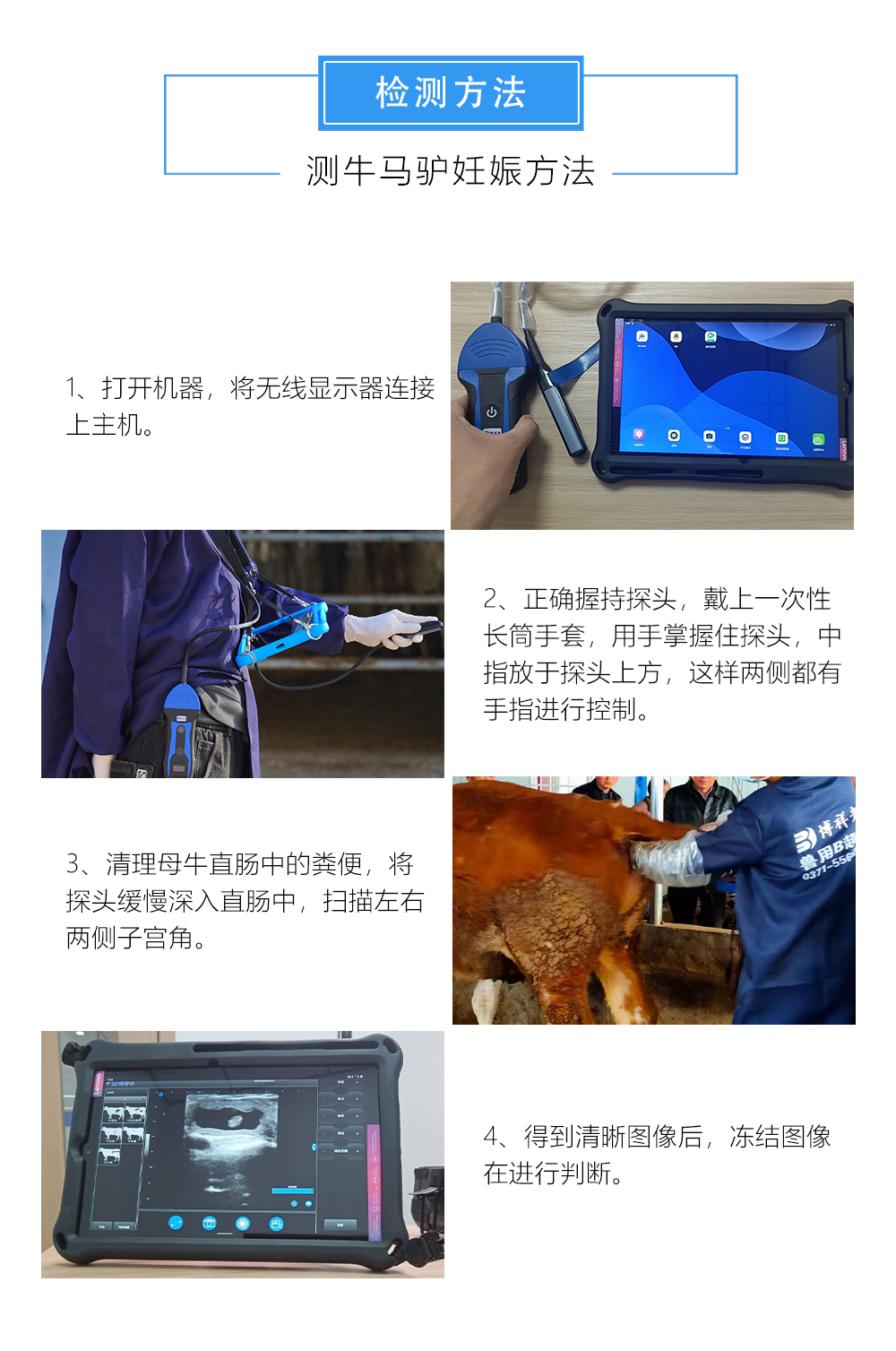 高清无线B超牛马驴测孕仪