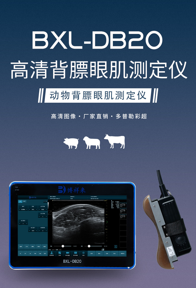 国产背膘眼肌测定仪