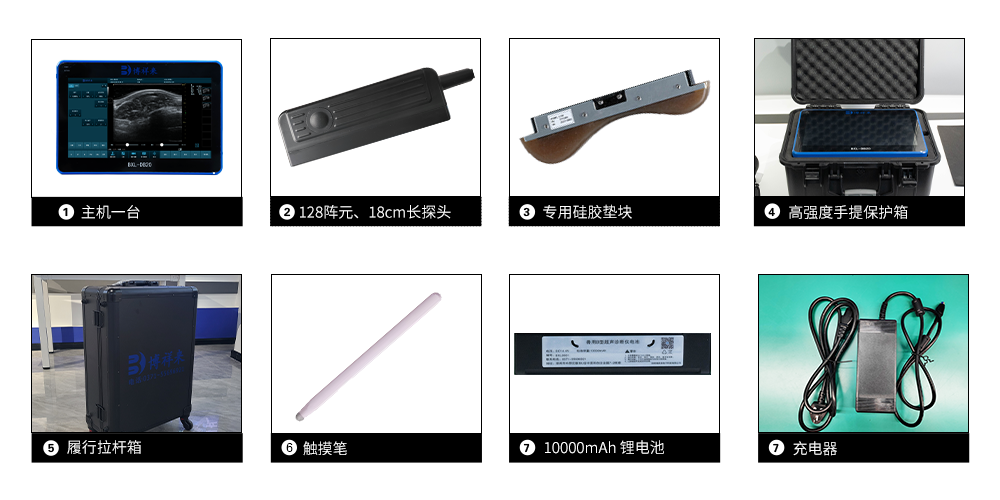 BXL-DB20 背膘眼肌测定仪配置