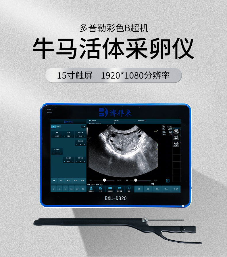 高清国产牛用活体采卵仪