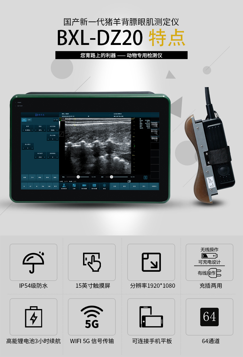 彩色猪羊测孕仪