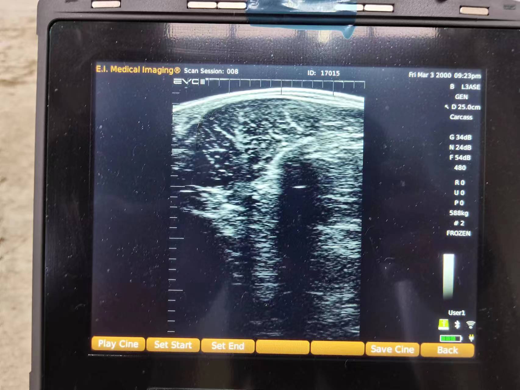 肉牛眼肌面积大小超声图像