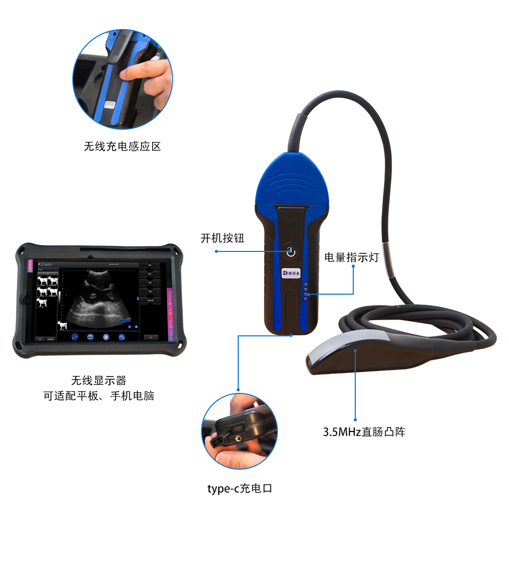 高清猪牛羊马驴通用B超机