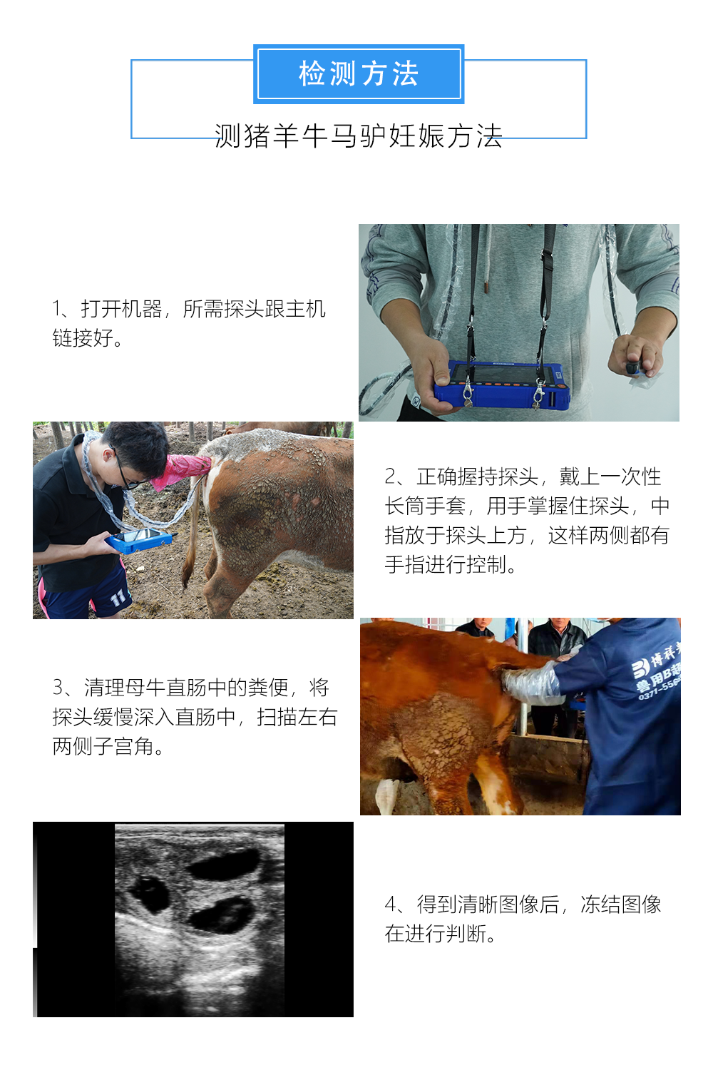 高清猪羊B超测孕仪使用方法