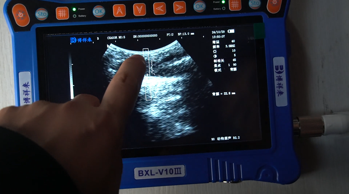 兽用B超仪一键测背膘