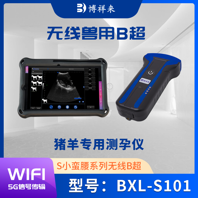 高清猪用B超仪BXL-S101