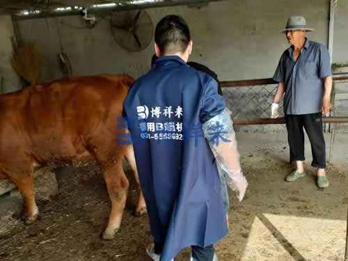 吉彩网技术老师培训案例