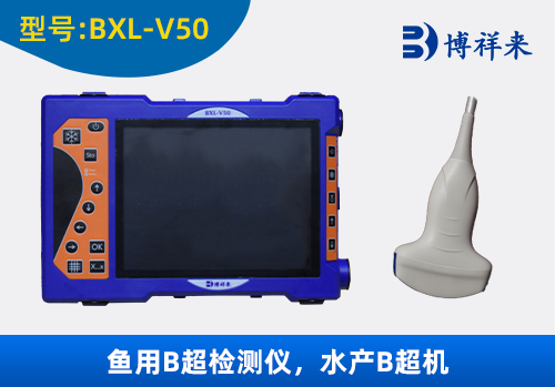 鱼用B超机BXL-V50