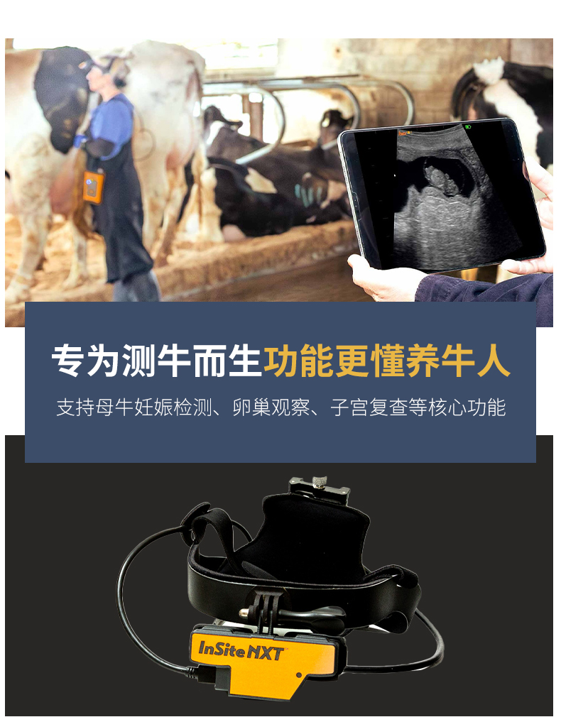 高清牛马进口测孕仪