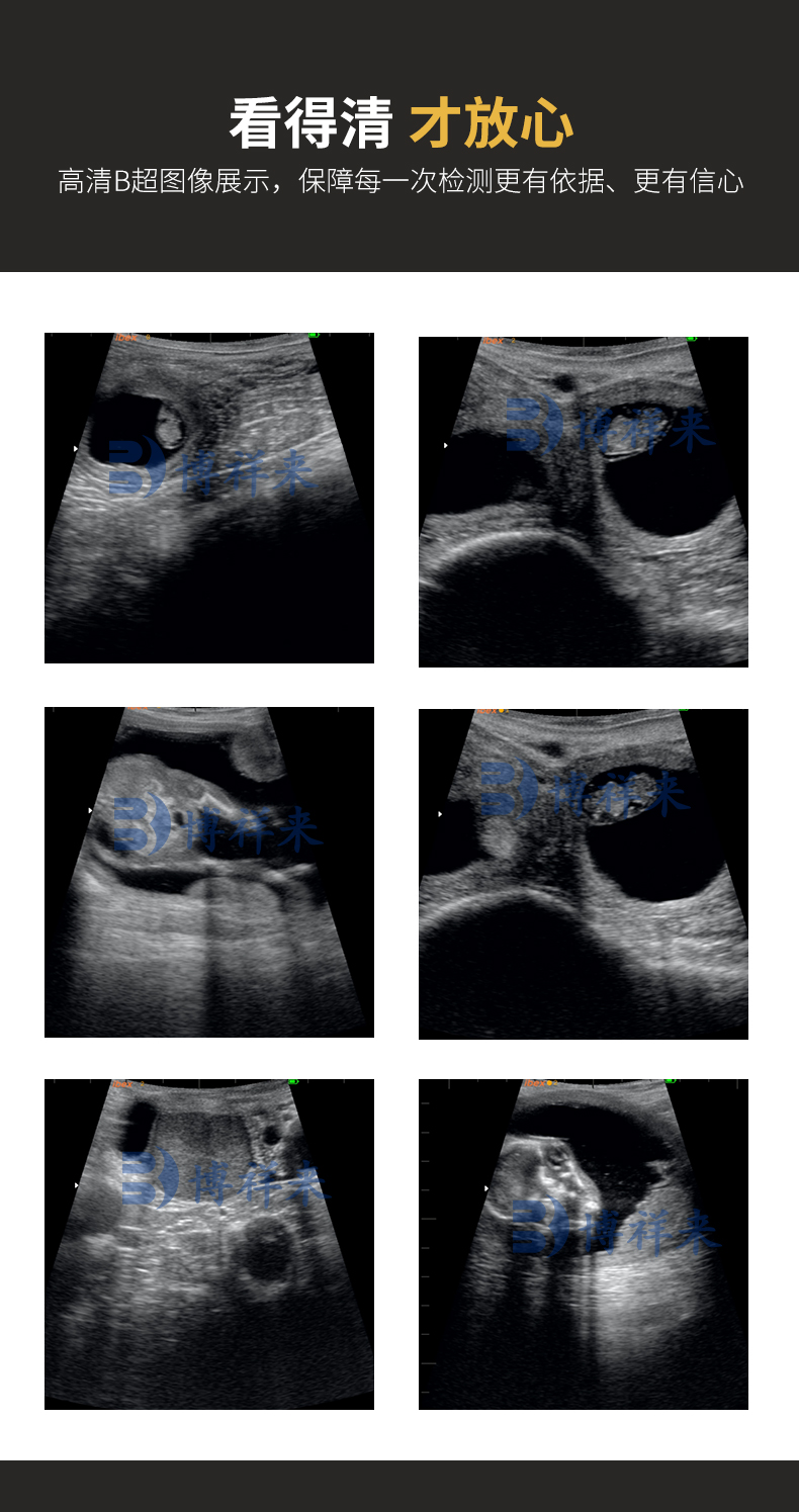 进口牛马驴测孕仪