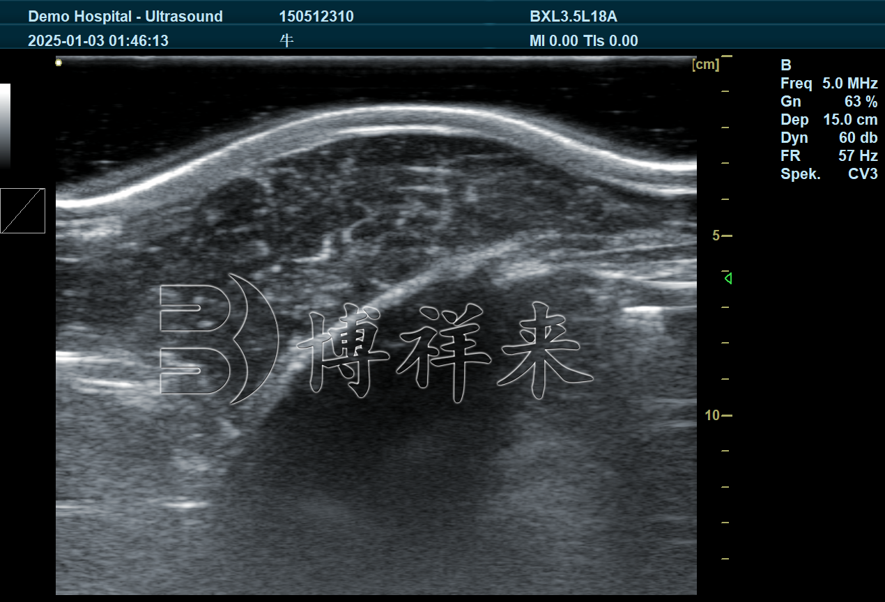 牛背膘眼肌测定仪检测肉牛雪花含量