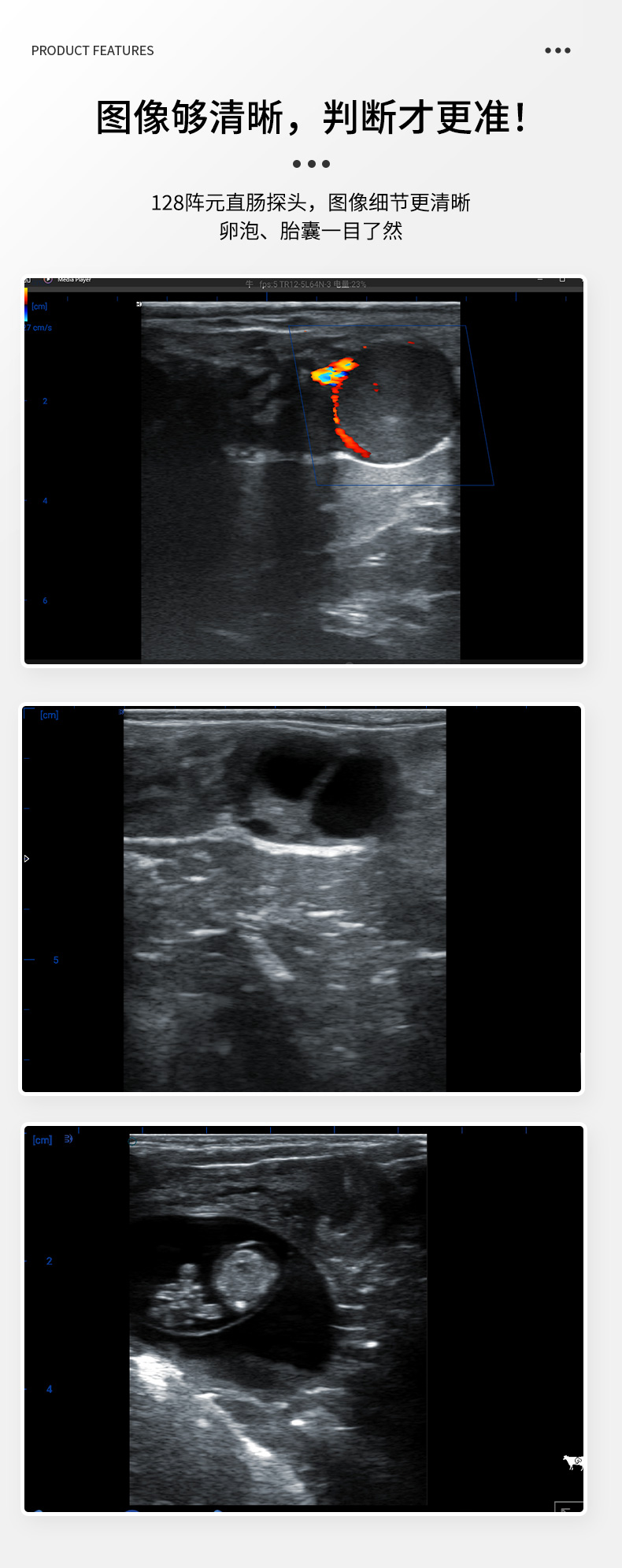 牛马B超彩色测孕仪