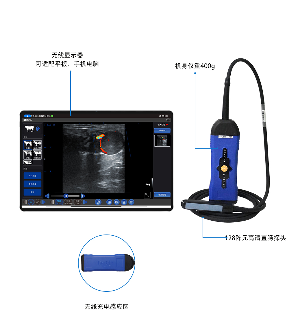 牛用彩超机BXL-S300