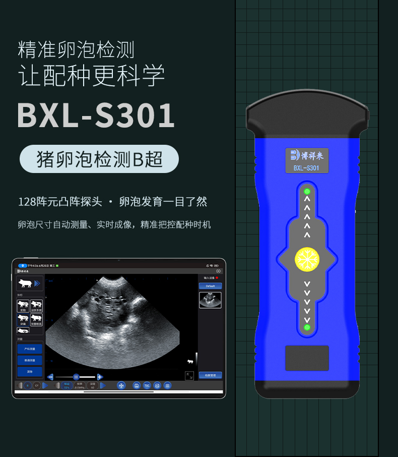 博祥来猪羊卵泡检测仪