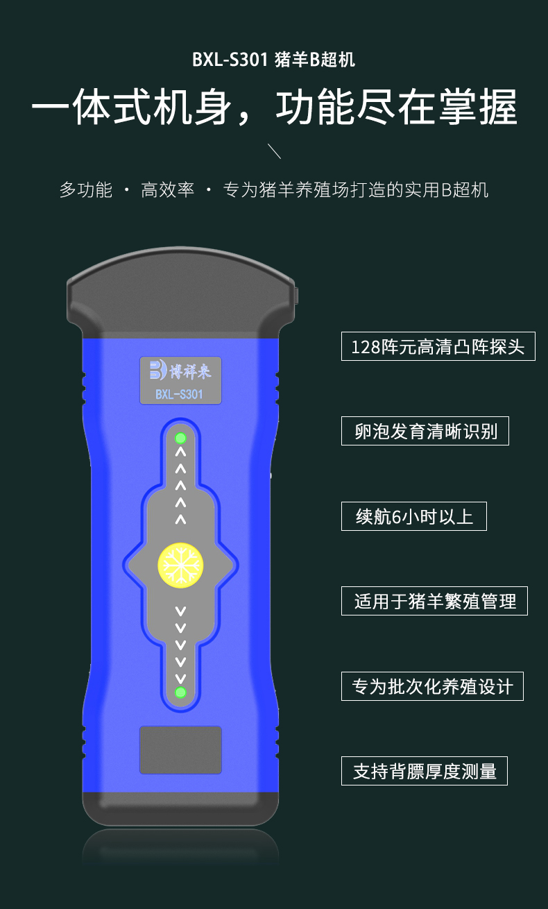 母猪卵泡大小检测